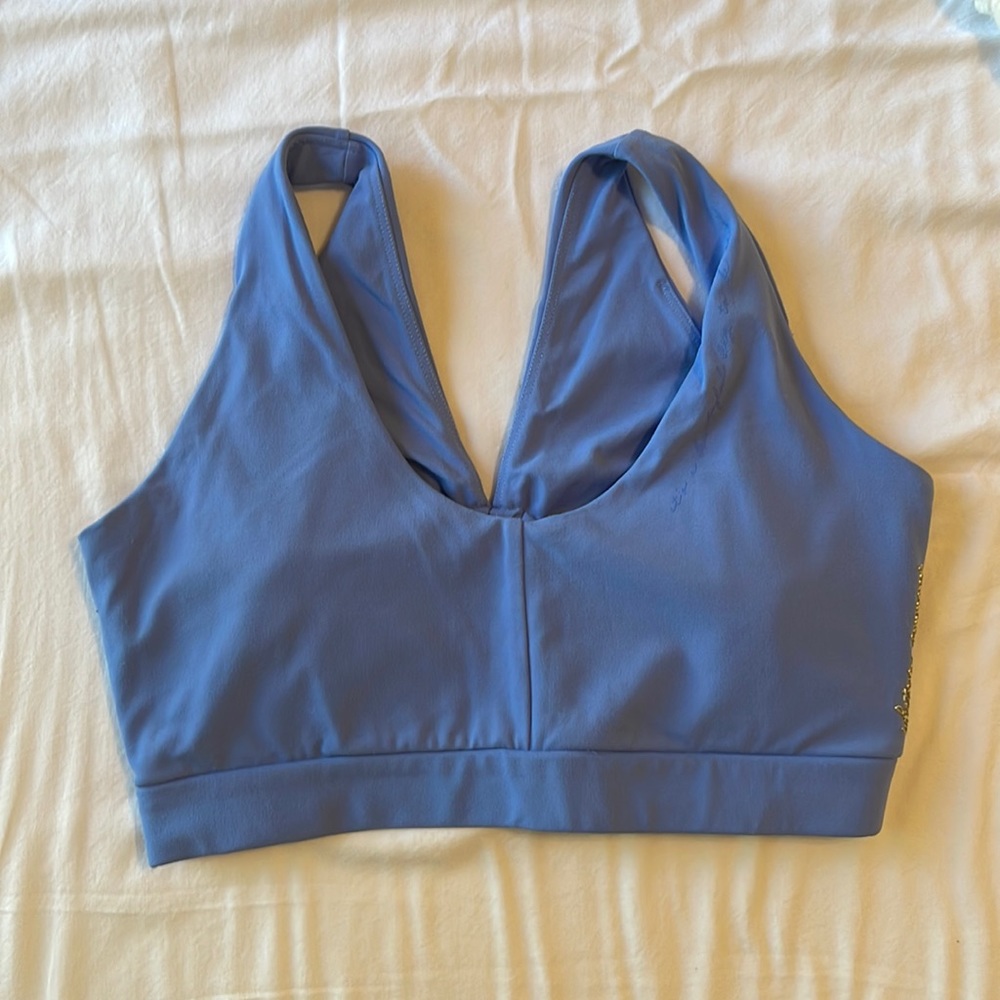 Whitney Simmons Gymshark Sports Bra (Small)